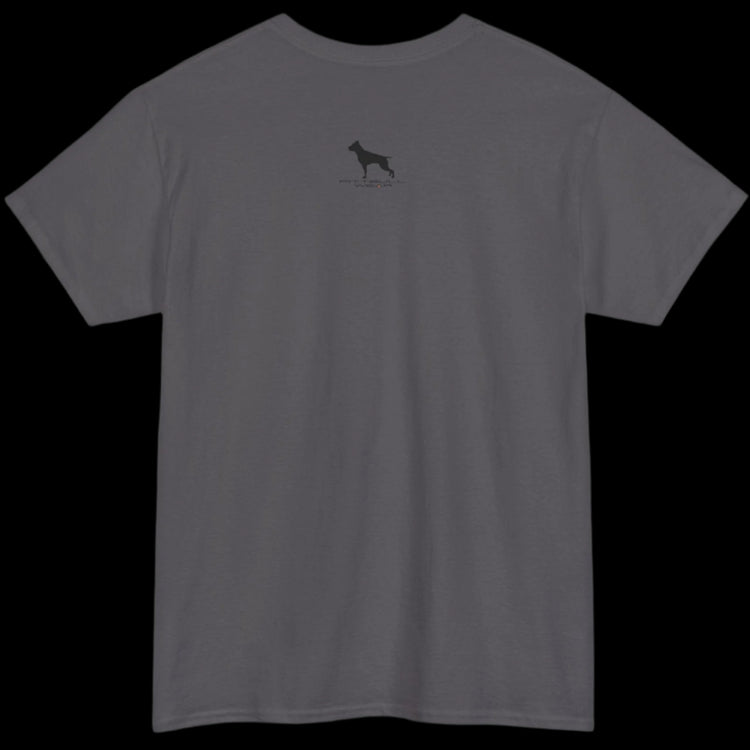 Fittbull Fitness Wear Unisex Tee - Bodybuilding Apparel CrossFit Training Clothing Active
