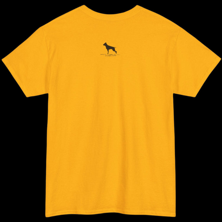 Fittbull Fitness Wear Unisex Tee - Bodybuilding Apparel CrossFit Training Clothing Active