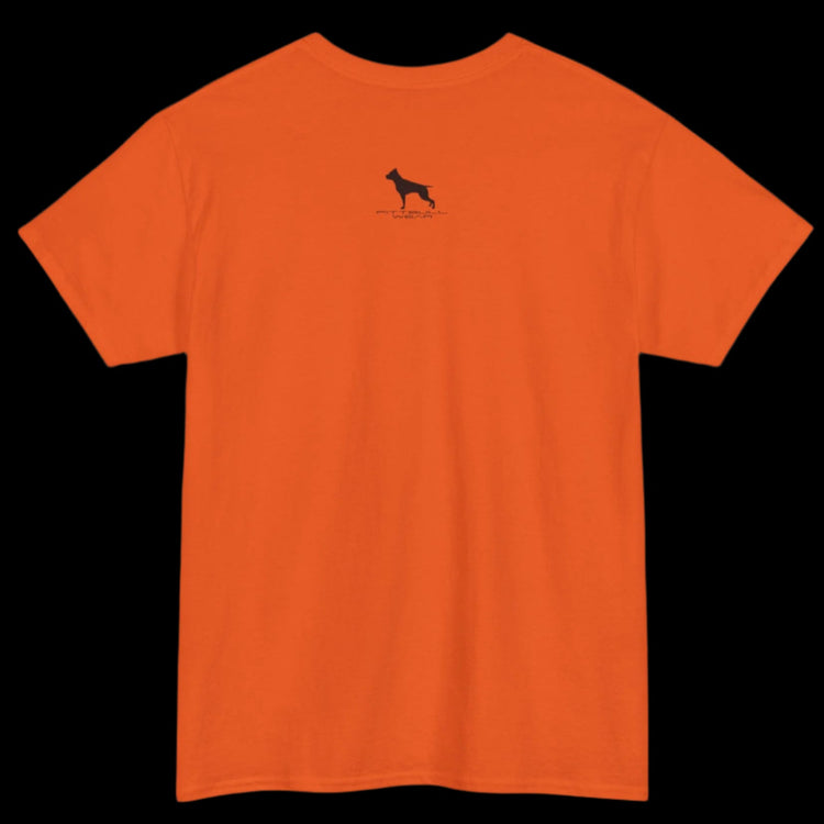 Fittbull Fitness Wear Unisex Tee - Bodybuilding Apparel CrossFit Training Clothing Active