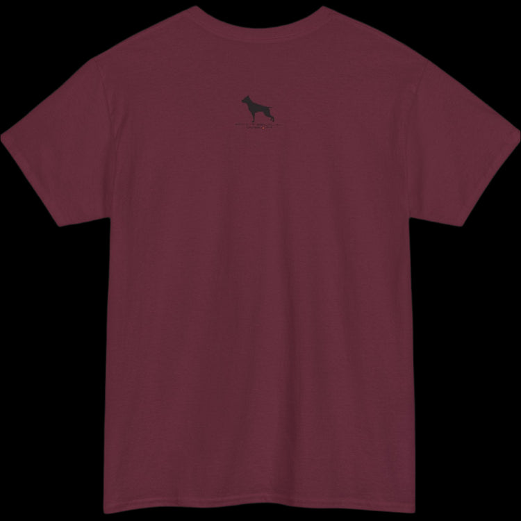 Fittbull Fitness Wear Unisex Tee - Bodybuilding Apparel CrossFit Training Clothing Active