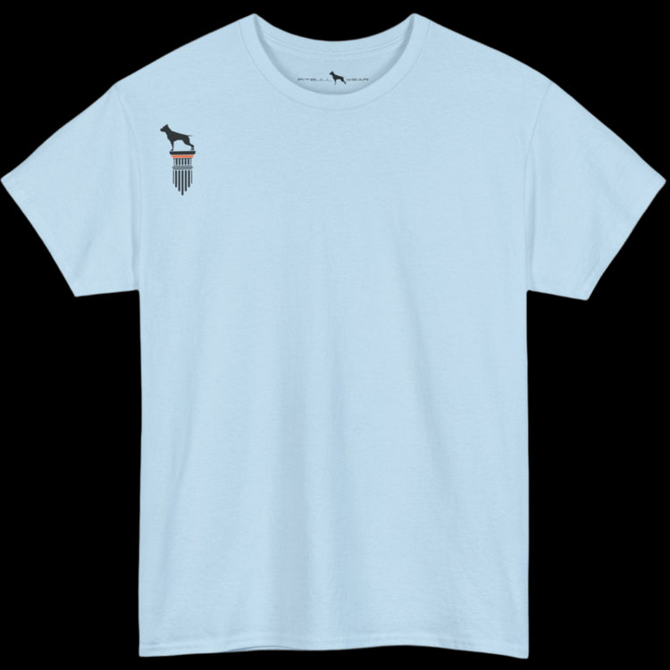 sky blue Fitbull T-shirt with a logo
